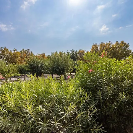 L'alicastre-4 By Interhome Apartamento *